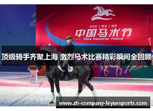 顶级骑手齐聚上海 激烈马术比赛精彩瞬间全回顾