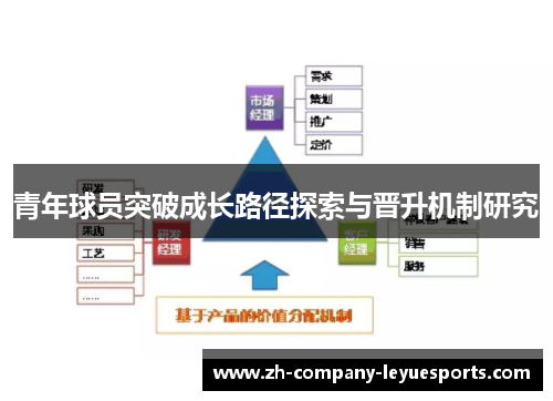 青年球员突破成长路径探索与晋升机制研究