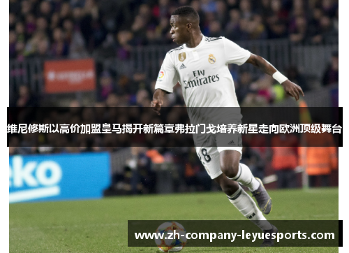 维尼修斯以高价加盟皇马揭开新篇章弗拉门戈培养新星走向欧洲顶级舞台 维尼修斯以高价加盟皇马揭开新篇章弗拉门戈培养新星走向欧洲顶级舞台